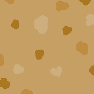 Meet your Posher, Jillanne